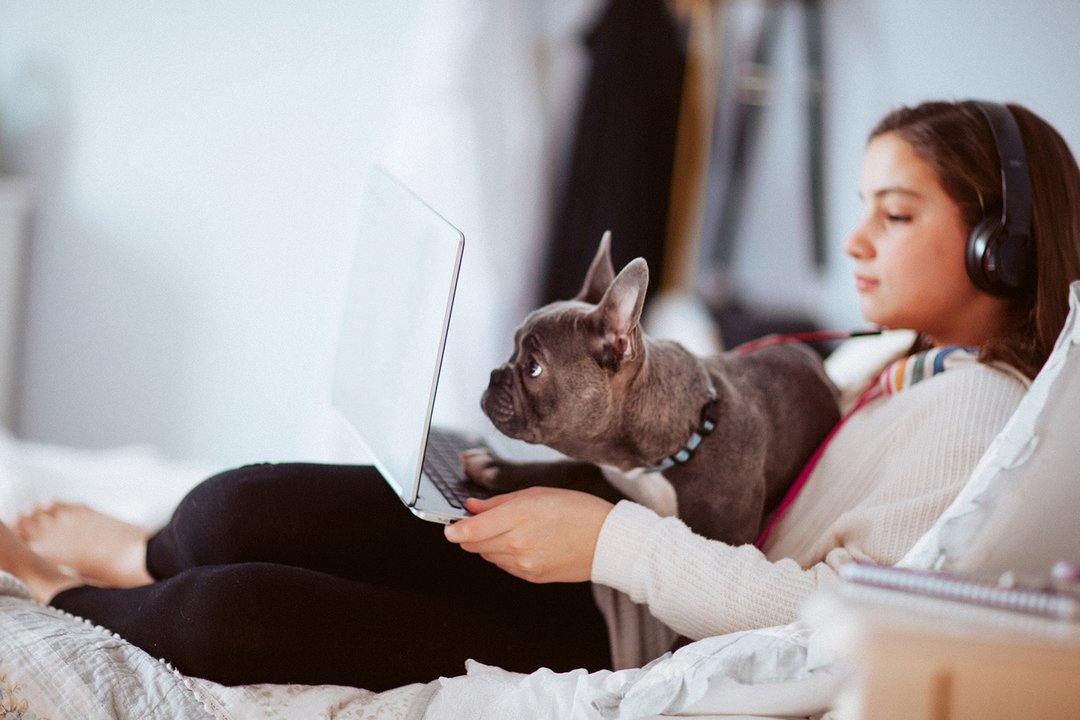 Число вакансий для молодых соискателей, включая подростков, стабильно растёт