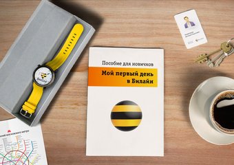 "Билайн": решили задачу по-хулигански – и это сработало