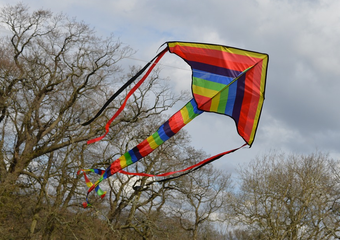 Что не так с российским венчурным рынком