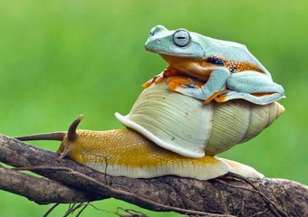 Для водителей такси могут разработать профессиональный стандарт