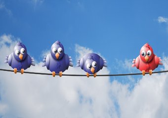 Есть ли жизнь вне штата? Что изменил 2016-й