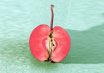 2 залога успеха в нетворкинге