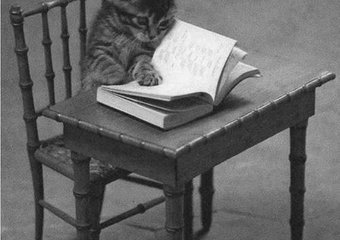 Сколько денег вы потратили на обучение?