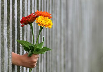 Адаптация персонала: а что предусмотрели вы?