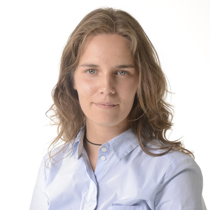 Фото эксперта