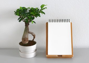 Охрана труда и экологическая безопасность: вместе сильнее