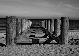 Фирмы-иностранцы лишаются господдержки