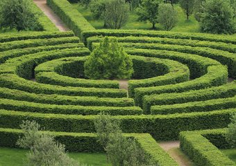 БДСМ и VIP-комнаты: нестандартные заказы «Авиры» выросли вдвое