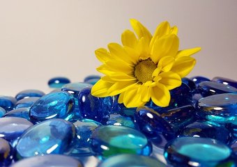 «Бирюзовая» организация: с чего начать эволюцию компании