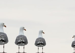 Бизнес и социум – как быть полезными друг другу