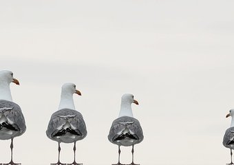 Бизнес и социум – как быть полезными друг другу