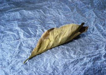 Названа одна из главных причин негатива о компаниях со стороны кандидатов   