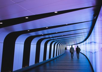 Будущее управленческих профессий: за гранью цифровой эпохи