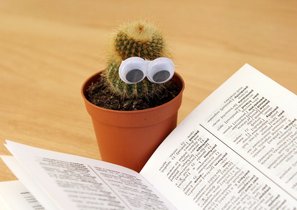 Корпоративные  двоечники