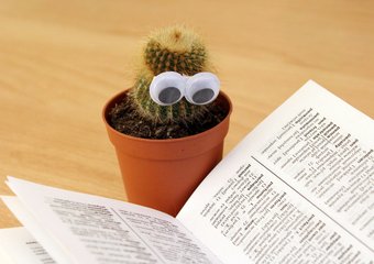 Корпоративные  двоечники