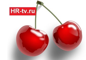 Job sharing – это не плохо и не хорошо, это неизбежно