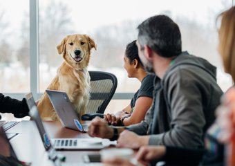 Четыре признака неэффективной КСО