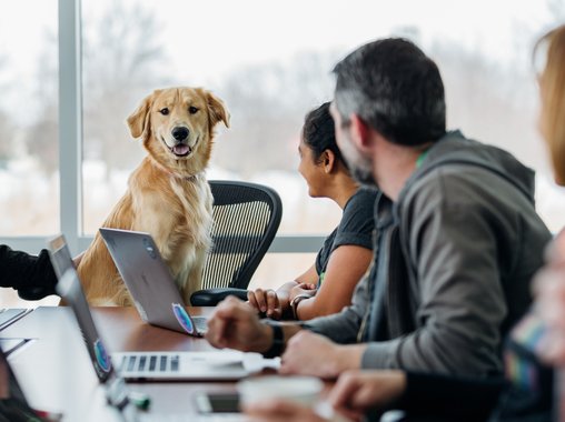 Четыре признака неэффективной КСО