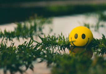 Что мотивирует сотрудников больше, чем деньги?