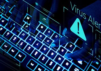 IT-департамент «Вкусно — и точка» проверит достоверность утечки данных 300 тысяч сосикателей