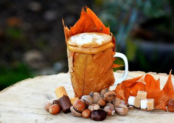 Всё собеседование легко заменить одним-единственным тестом – эксперт