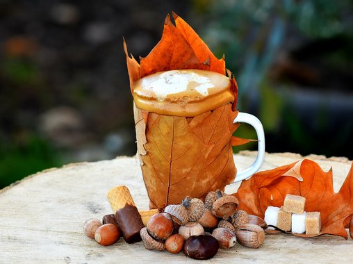 Всё собеседование легко заменить одним-единственным тестом – эксперт