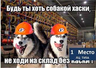 Будь ты хоть собакой хаски – не ходи на склад без каски!