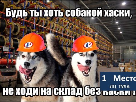 Будь ты хоть собакой хаски – не ходи на склад без каски!