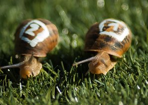 Офисная дедовщина: причины и способы борьбы