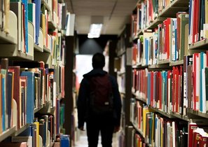 Дорога к самообразованию: есть ли польза онлайн-курсов и как выбрать правильный