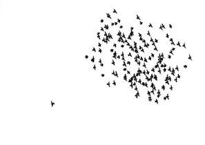 Наш друг дедлайн: как быстро и надежно взять себя в руки