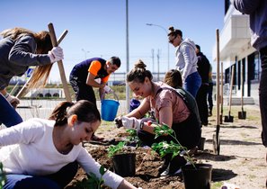 Эко-движение в компаниях: тренды и перспективы