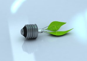 Как привлечь персонал к экологическим инициативам: опыт «Леруа Мерлен»