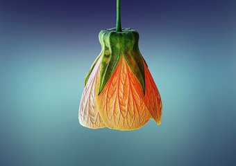 Названы два самых важных качества менеджера по продажам