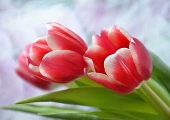 Россиян ждут короткие рабочие недели