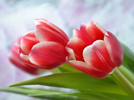 Россиян ждут короткие рабочие недели