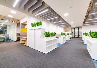 Функциональность и комфорт офиса: made in TCM