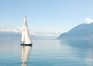 Управление без управления: новые принципы организации работы