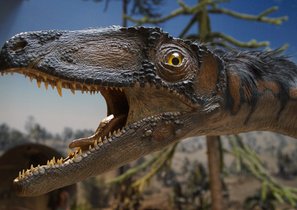 Эволюция HR-функции: что было и что будет  