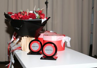 В Москве объявлены победители бизнес-премии WOW PRO 2022