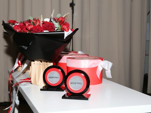 В Москве объявлены победители бизнес-премии WOW PRO 2022