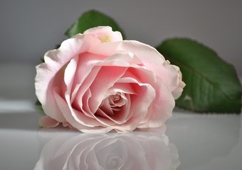 Назван тип руководителя, которому сложно реформировать компанию