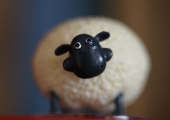 Какие качества мешают любому сотруднику