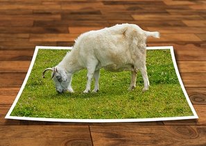 Мечты и реальность: 5 советов HR-у, привлекшему кадровое агентство