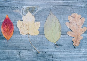 Как инклюзивность и многообразие меняют будущее бизнеса