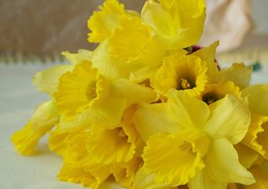 Как нарциссизм влияет на карьеру