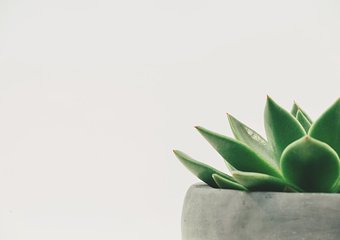 Как научиться строить бренд работодателя за 2 часа