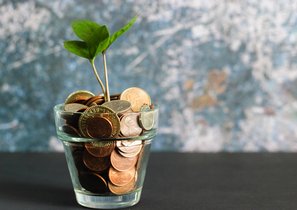 Как оплатить сотруднику допотпуск за свой счет?
