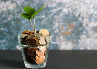 Как оплатить сотруднику допотпуск за свой счет?