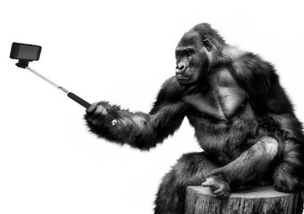 Как предсказать увольнение сотрудника по «аватару»